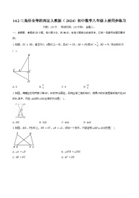 人教版（2024）八年级上册（2024）第十四章 全等三角形14.2 三角形全等的判定精品课时作业