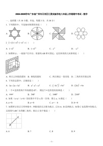 2024-2025年广东省广州市天河区汇景实验学校八年级上学期数学期中考试卷（含答案）