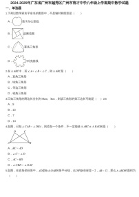 2024-2025年广州市越秀区育才中学八年级上学期数学期中考试卷（含答案）