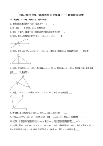 2024-2025学年上海市松江区七年级（下）期末数学试卷（含解析）