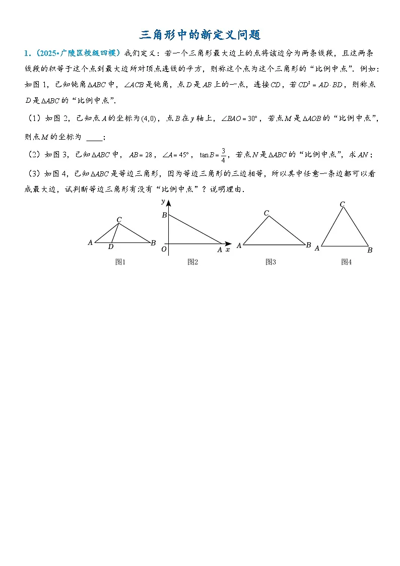 2026年中考数学压轴题专项练习-三角形中的新定义问题(学生版+名师详解版)第1页