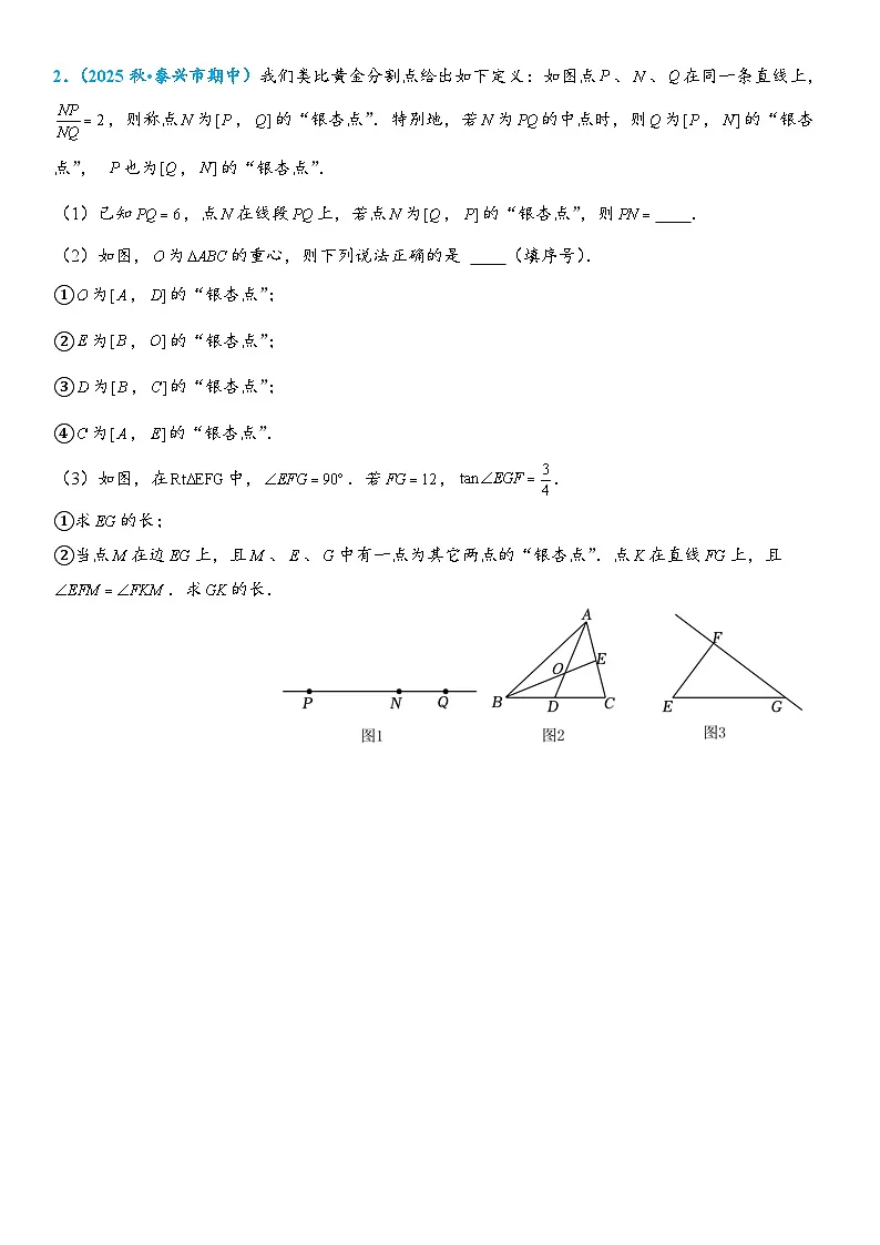 2026年中考数学压轴题专项练习-三角形中的新定义问题(学生版+名师详解版)第2页