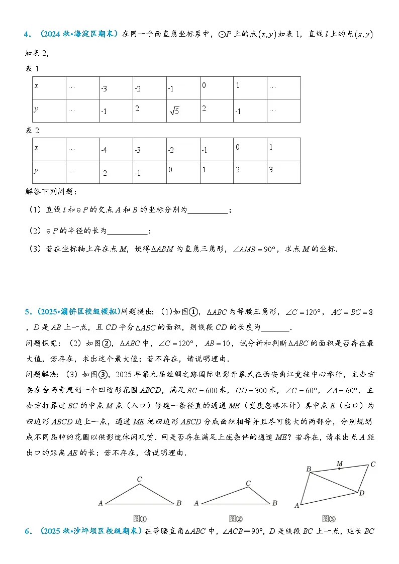 2026年中考数学压轴题专项练习-隐形圆之定弦定角作圆(学生版+名师详解版)第3页