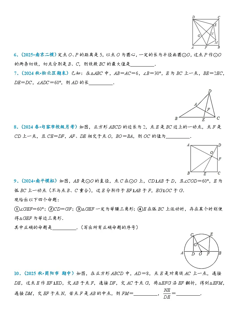 2026年中考数学压轴题专项练习-隐形圆之对角互补作圆(学生版+名师详解版)第2页