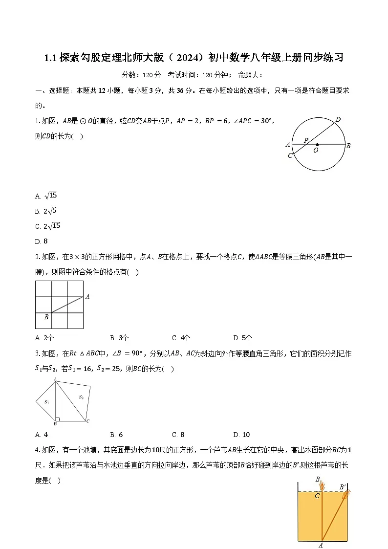 1.1探索勾股定理 北师大版(2024)初中数学八年级上册同步练习(含详细答案解析)第1页