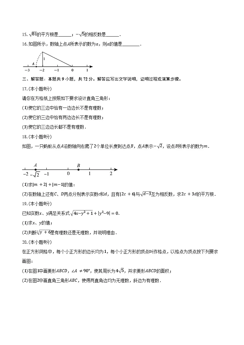 2.1认识实数 北师大版(2024)初中数学八年级上册同步练习(含详细答案解析)第3页