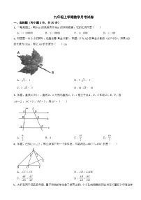 浙江省宁波市2025年九年级上学期数学月考试卷附答案