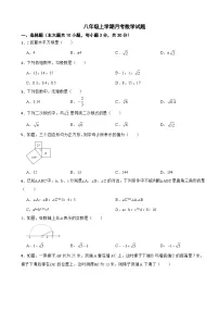 广东省茂名市高州市2025年八年级上学期月考数学试题附答案