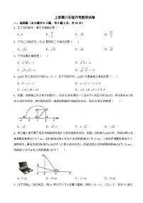 广东省深圳市龙岗区2025年上学期八年级月考数学试卷附答案