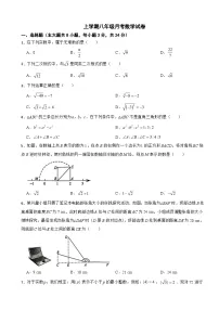 广东省深圳市龙岗区2025年上学期八年级月考数学试卷附答案