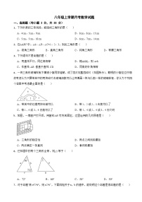 浙江省绍兴市2025年八年级上学期月考数学试题附答案