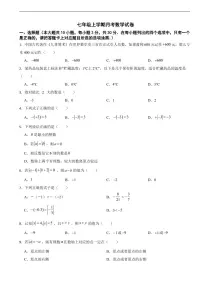 广东省珠海市2025年七年级上学期月考数学试卷及答案