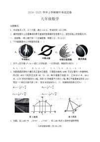 河南省新乡市2024-2025学年九年级上学期11月期中数学试题