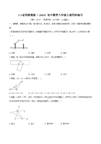 八年级上册（2024）1.3 证明精品课后复习题