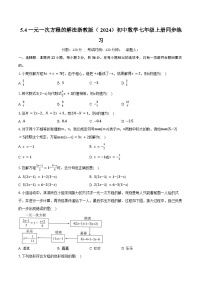 浙教版（2024）七年级上册（2024）一元一次方程的解法优秀同步达标检测题