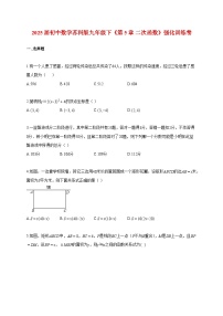 苏科版（2024）九年级下册二次函数精练