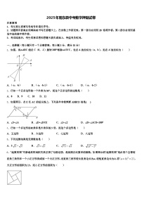 2025年阳东县中考数学押题试卷含解析