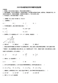 2025年汕尾市陆丰市中考数学仿真试卷含解析