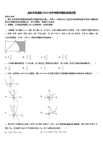 龙岩市连城县2025年中考数学模拟预测试卷含解析