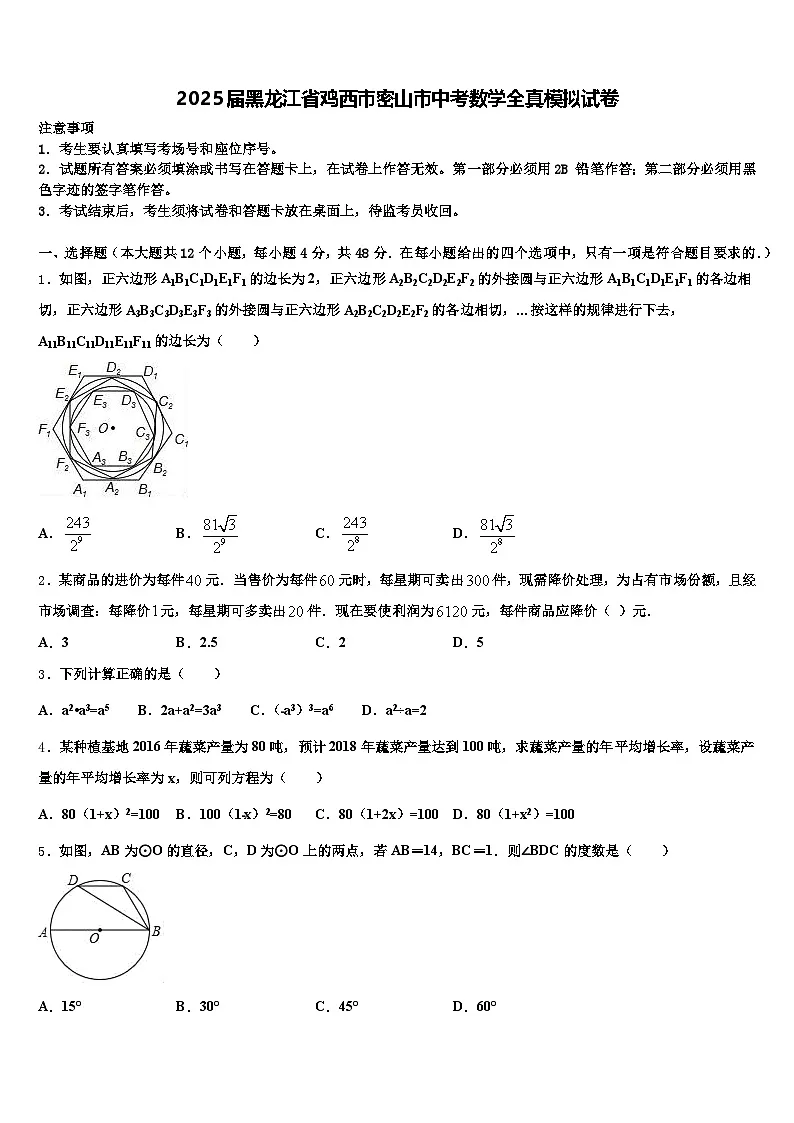 2025届黑龙江省鸡西市密山市中考数学全真模拟试卷含解析第1页