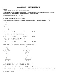 2025届衡水市中考数学模拟精编试卷含解析