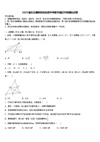 2025届长白朝鲜族自治县中考数学最后冲刺模拟试卷含解析