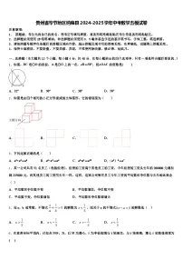贵州省毕节地区纳雍县2024-2025学年中考数学五模试卷含解析