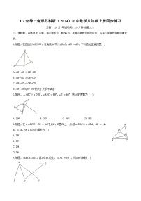 苏科版（2024）八年级上册（2024）1.2 全等三角形精品课后测评