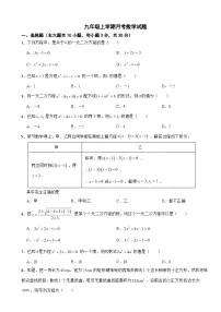 广东省阳江市2025学年九年级上学期月考数学试题附答案