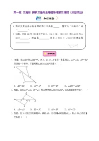鲁教版（五四学制）（2024）七年级上册（2024）3 探索三角形全等的条件优秀当堂检测题