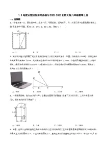 初中数学北师大版（2024）八年级上册（2024）3 勾股定理的应用综合训练题