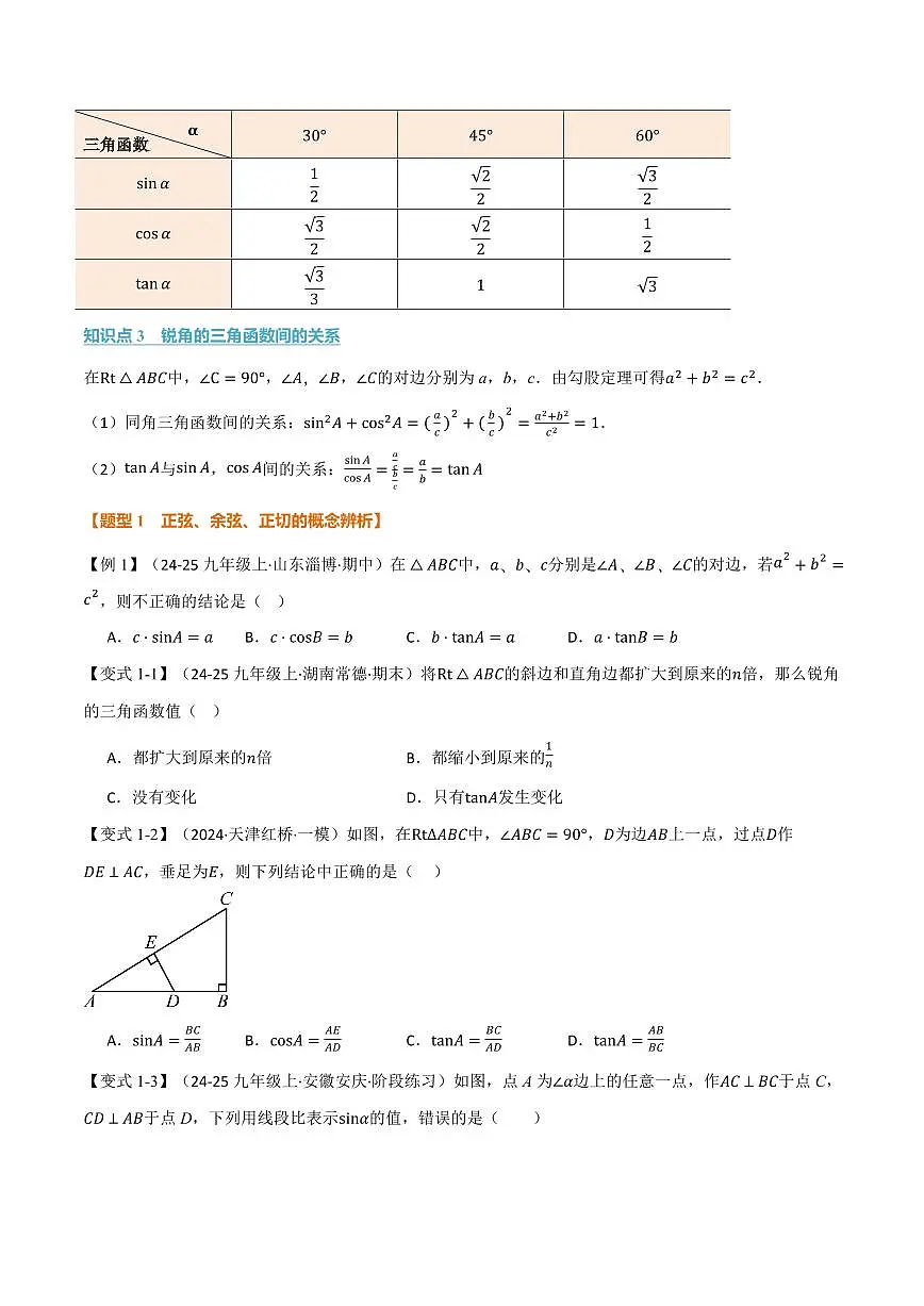 专题23.1 锐角的三角函数(讲义)(原卷版)第2页