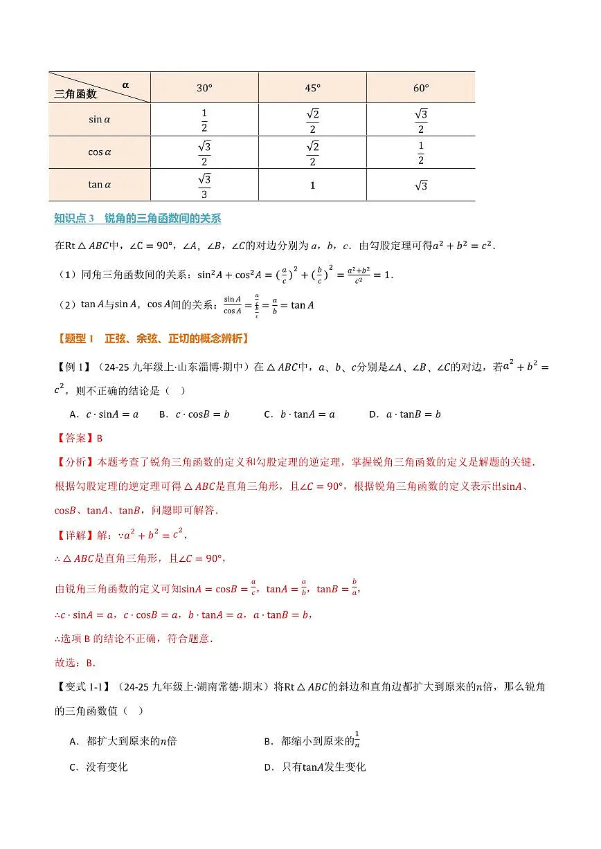 专题23.1 锐角的三角函数(讲义)(解析版)第2页
