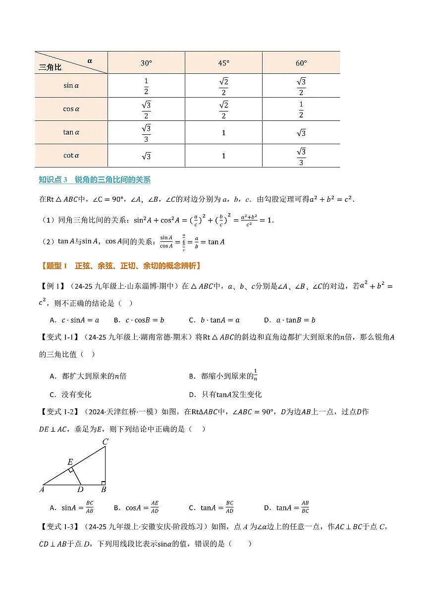 专题2.1 锐角的三角比(讲义)(原卷版)第2页