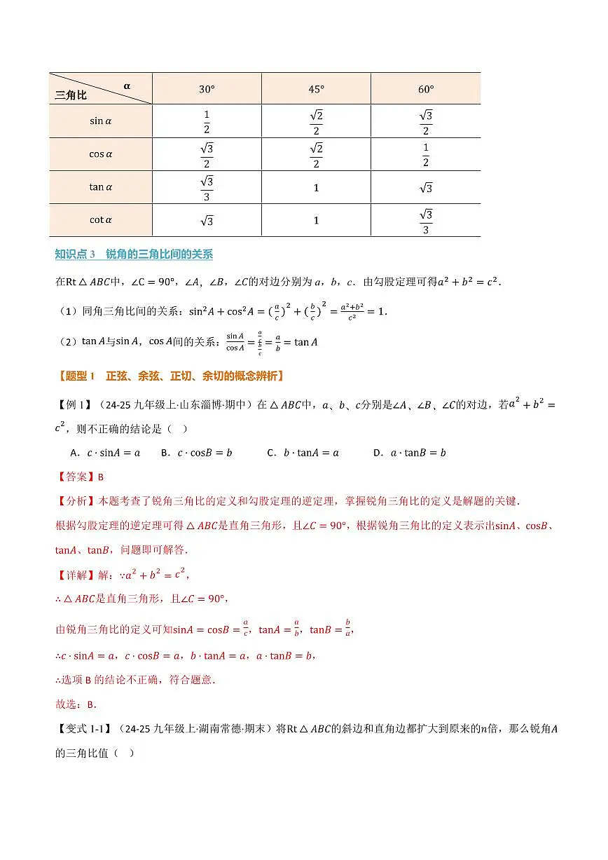 专题2.1 锐角的三角比(讲义)(解析版)第2页