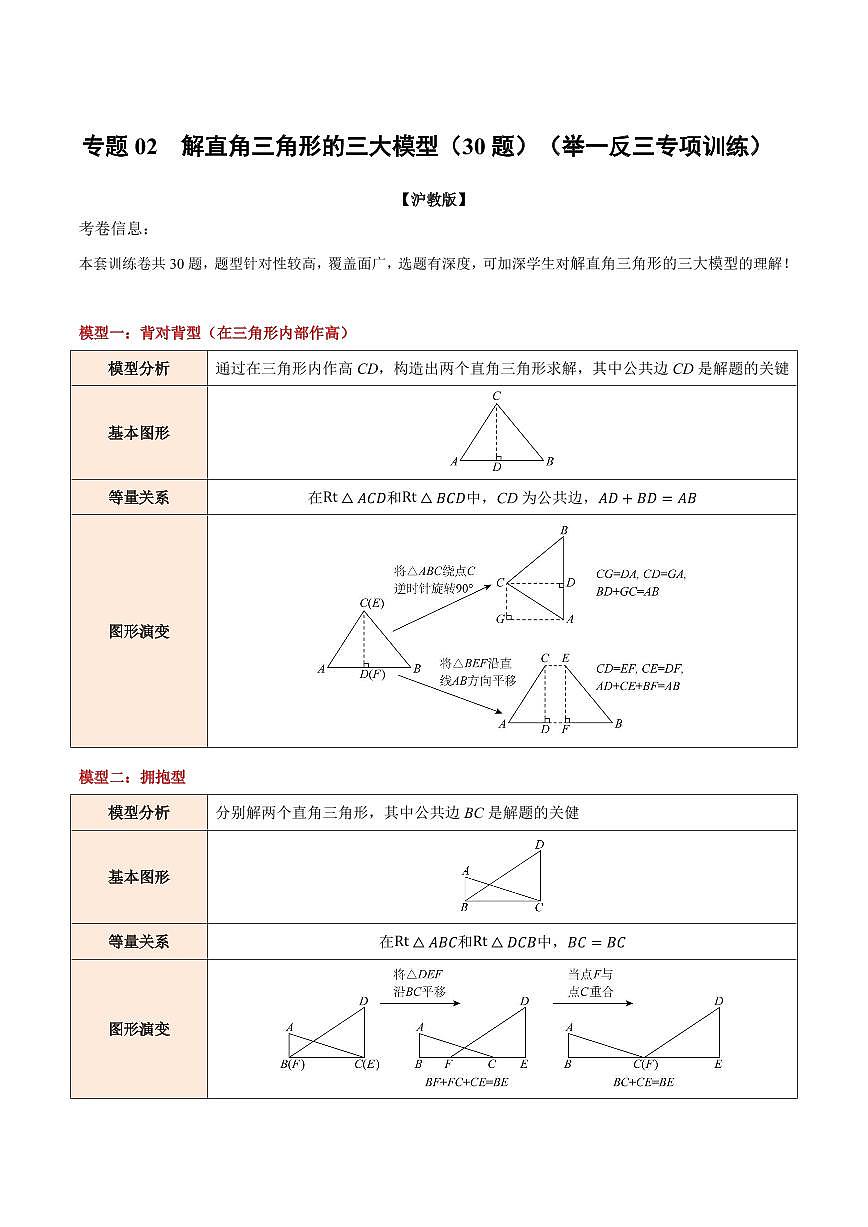 专题02 解直角三角形的三大模型(30题)(专项训练)(解析版)第1页