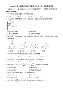 湖北省武汉市汉阳区2024-2025学年八年级上学期期末数学试卷-A4