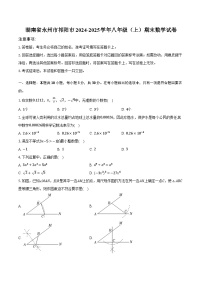 湖南省永州市祁阳市2024-2025学年八年级（上）期末数学试卷【含答案】