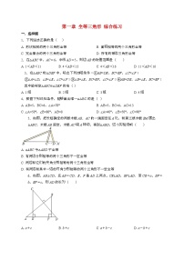 苏科版（2024）八年级上册全等三角形精练