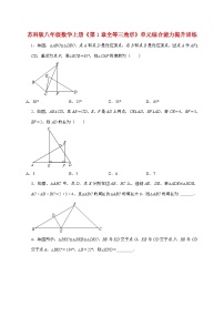 数学苏科版(2024)1.2 全等三角形习题