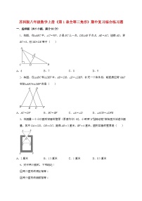 【苏科版】2024_2025学年八年级数学上册第一章【全等三角形】期中复习综合练习题