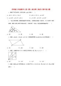 【苏科版】2024_2025学年八年级数学上册期中复习题第一章【全等三角形】