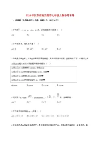 2024_2025学年江苏省连云港市七年级上数学月考卷[附答案]