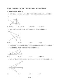 数学八年级上册（2024）1.2 全等三角形精练