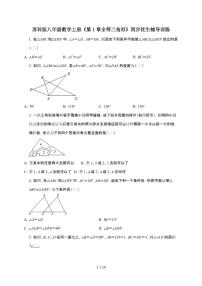 苏科版（2024）八年级上册（2024）1.2 全等三角形测试题