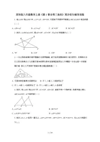 苏科版(2024)八年级上册(2024)1.2 全等三角形测试题