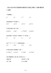 2024~2025学年江苏省徐州市新沂市七年级上学期11月月考（期中）数学试