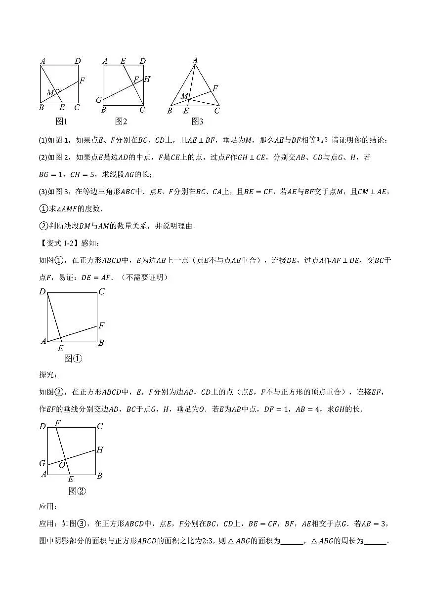 专题04 正方形中的模型、长度关系、路径问题(专项训练)(原卷版)第3页