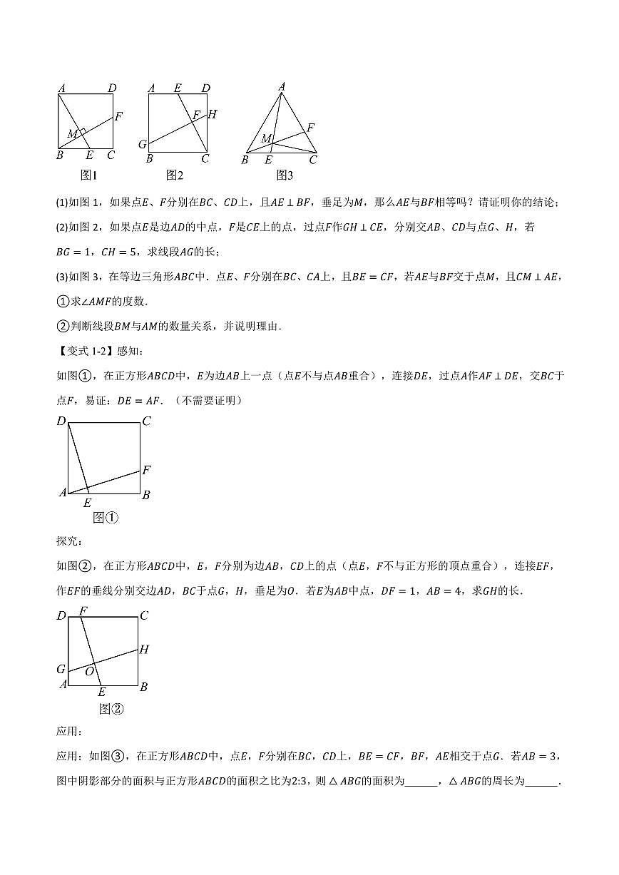 专题04 正方形中的模型、长度关系、路径问题(专项训练)(原卷版)第3页