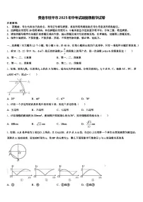 贵港市桂平市2025年中考试题猜想数学试卷含解析